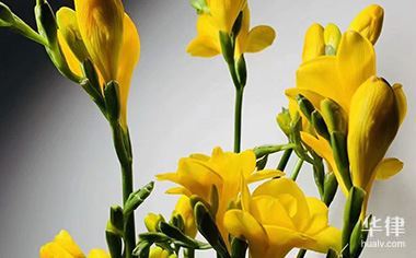 2024夜间施工扰民可否要求赔偿