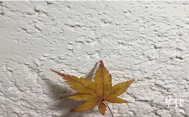 华律网